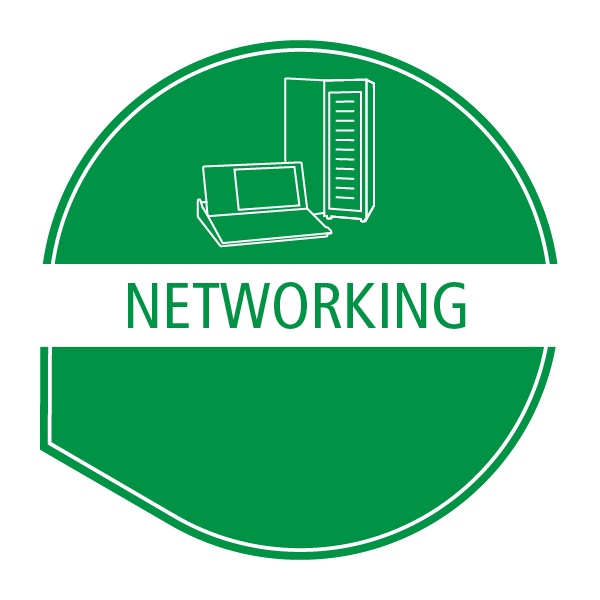 Networking Logo